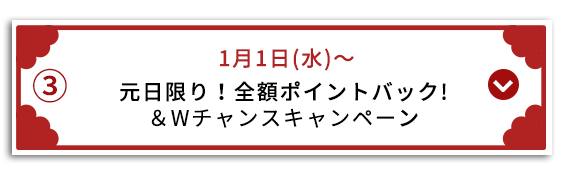 元旦限り！全額ポイントバック!＆Wチャンスキャンペーン