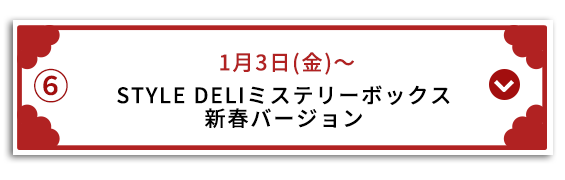 STYLE DELIミステリーボックス 新春バージョン