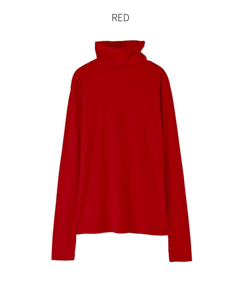 58ブレインタートル 58ブレインタートル